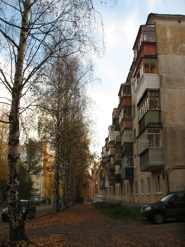 Сыктывкар 2015 - ул. Карла Маркса