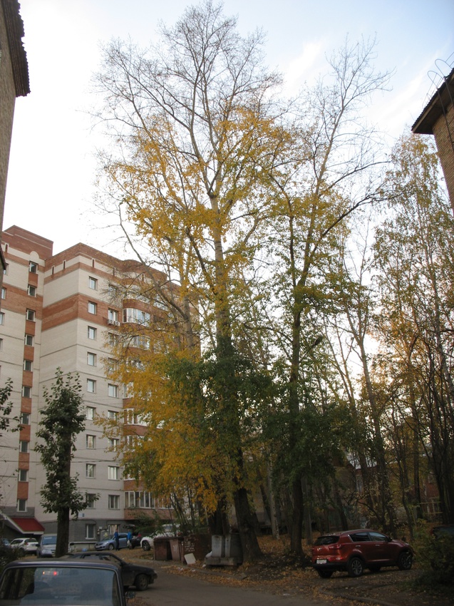 Сыктывкар 2015 - ул. Карла Маркса