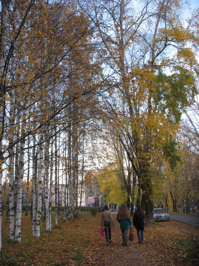 Сыктывкар 2015 - ул. Карла Маркса