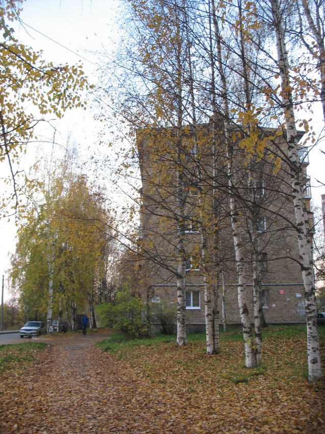 Сыктывкар 2015 - ул. Карла Маркса