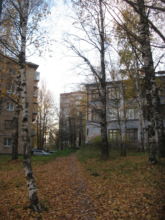 Сыктывкар 2015 - c ул. Карла Маркса