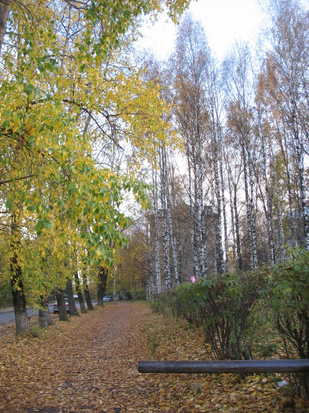 Сыктывкар 2015 - ул. Карла Маркса