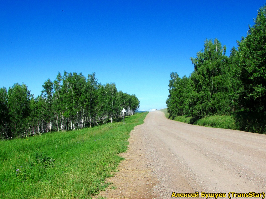 Дорога на Партизанское, 2015г