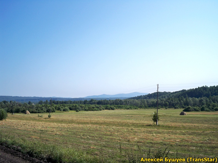 По дороге в Нижние Куряты, 2012г