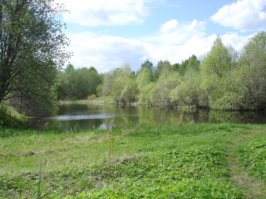 пруд в деревне Малиновка