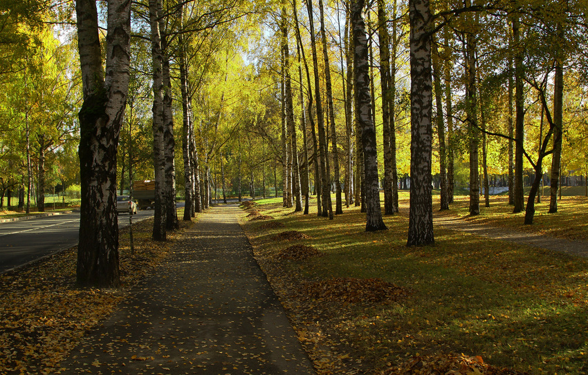 Улица Садовая