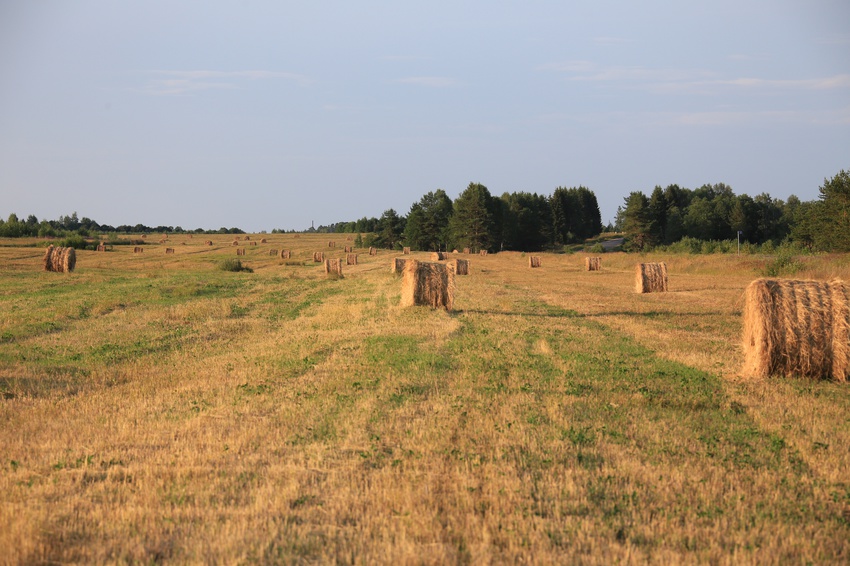 Осенний пейзаж.