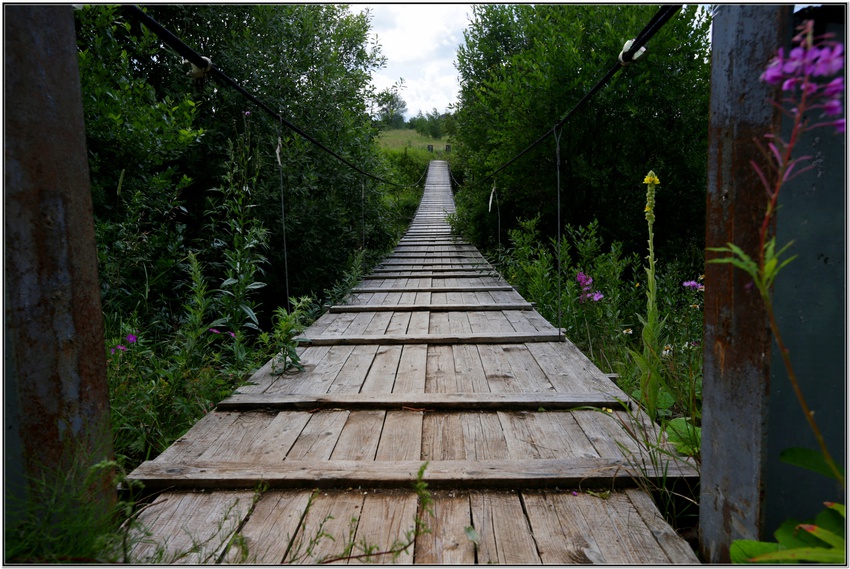 Перспектива.