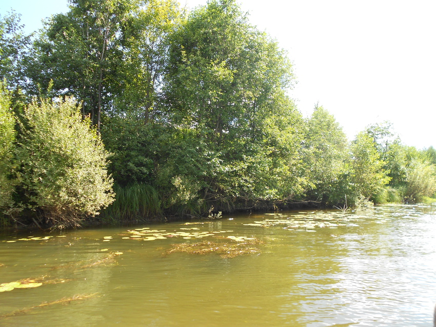 река Ухтома