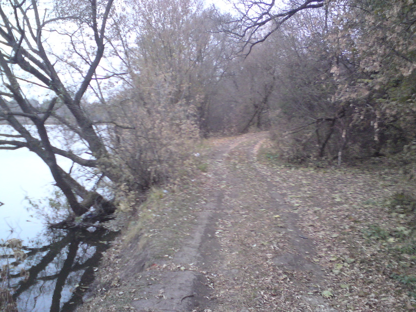 Подъезд к пруду