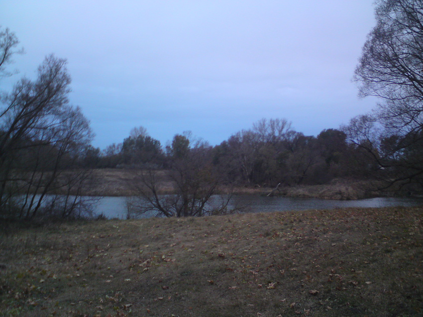 Пруд за садом