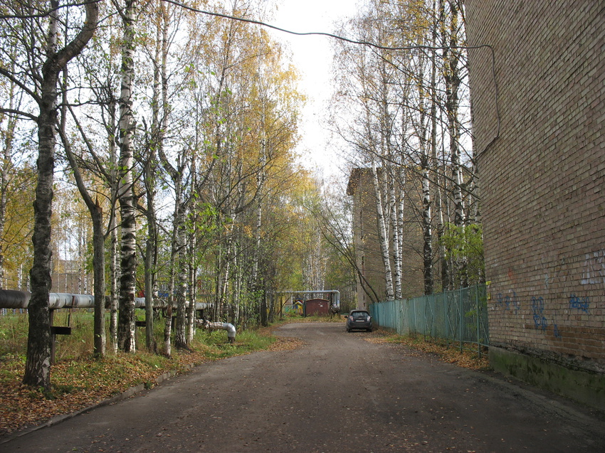 Сыктывкар 2015