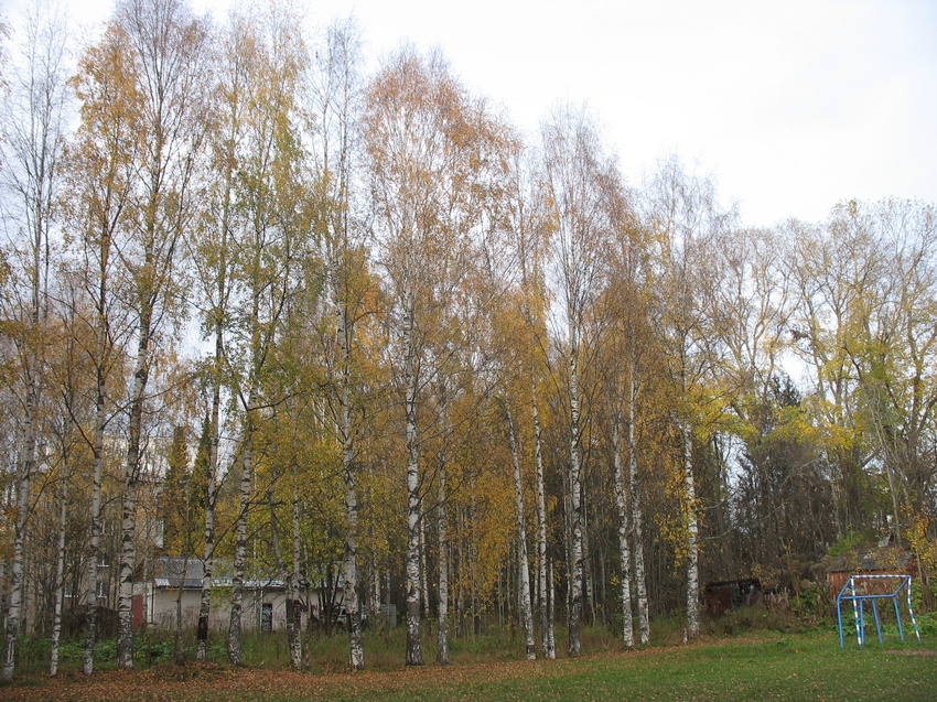 Сыктывкар 2015