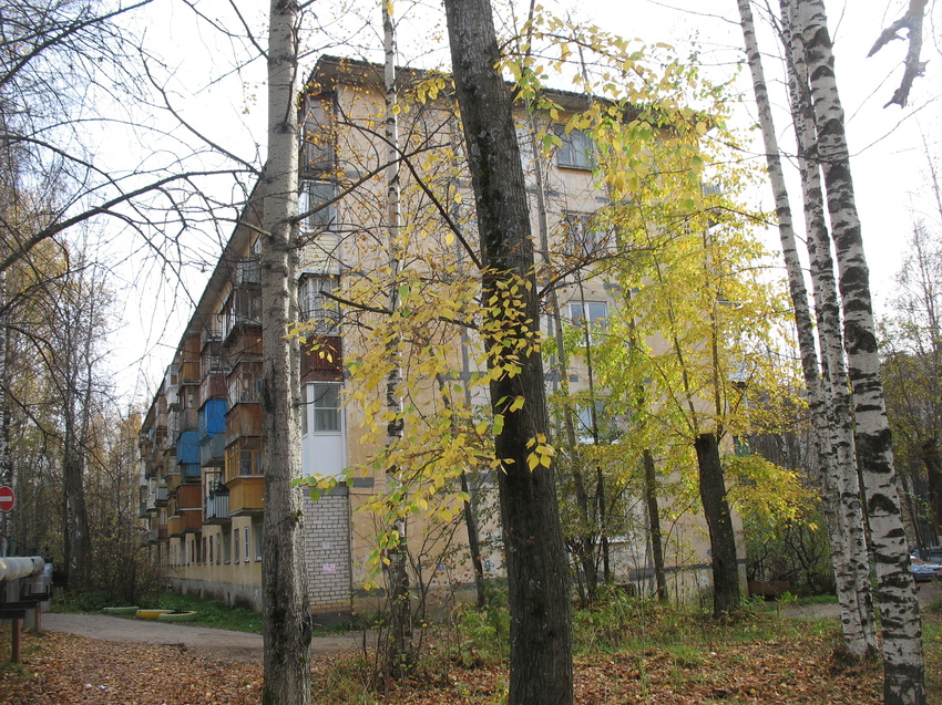 Сыктывкар 2015