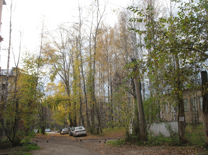 Сыктывкар 2015