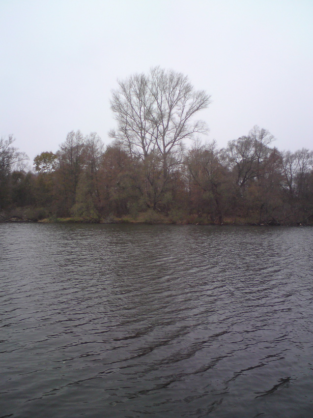 Кубань. Пруд за садом