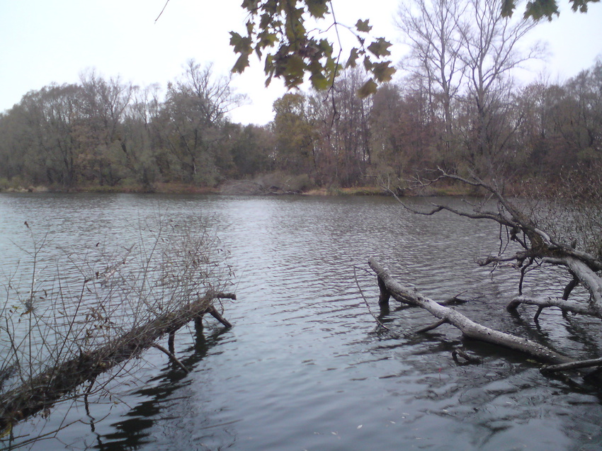 Пруд осенью