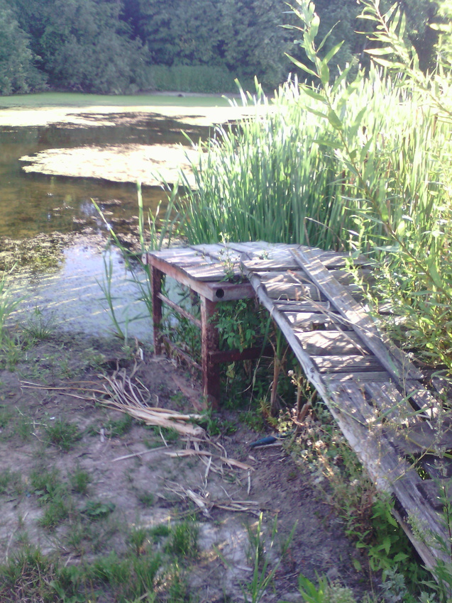 Новый пруд. Мостик, с которого прыгали в воду и ловили рыбу полностью на берегу. 2015 год