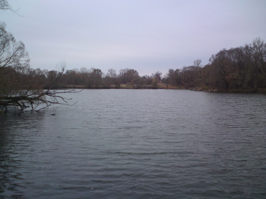 Широкое место пруда