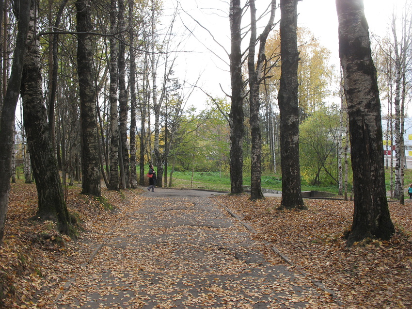 Сыктывкар 2015 - Мичуринский парк