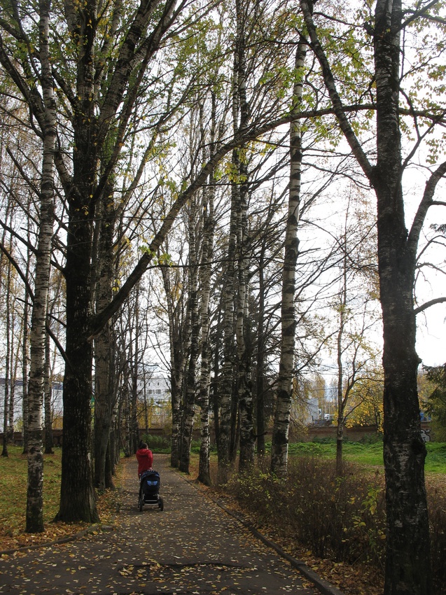 Сыктывкар 2015 - Мичуринский парк