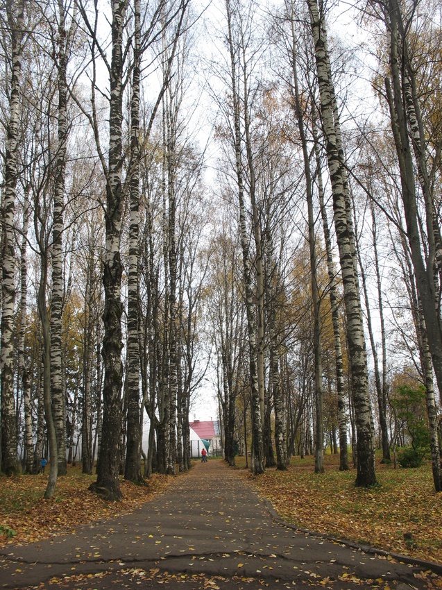 Сыктывкар 2015 - Мичуринский парк