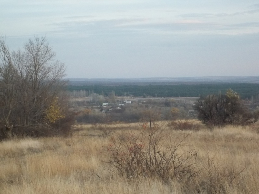 Ольховый Рог