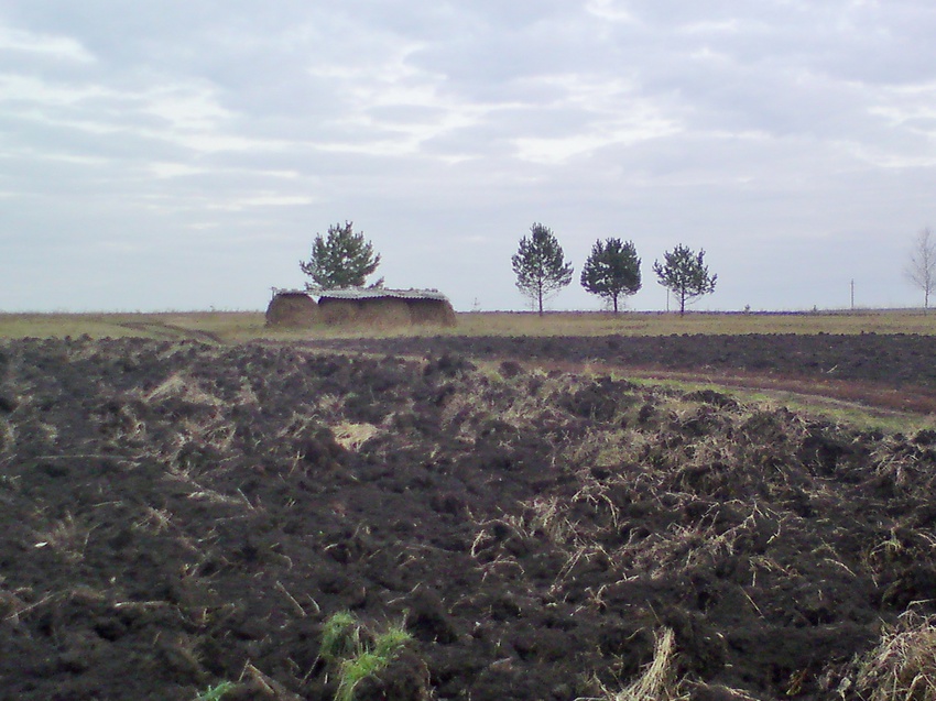 Архарово. Огороды сельчан