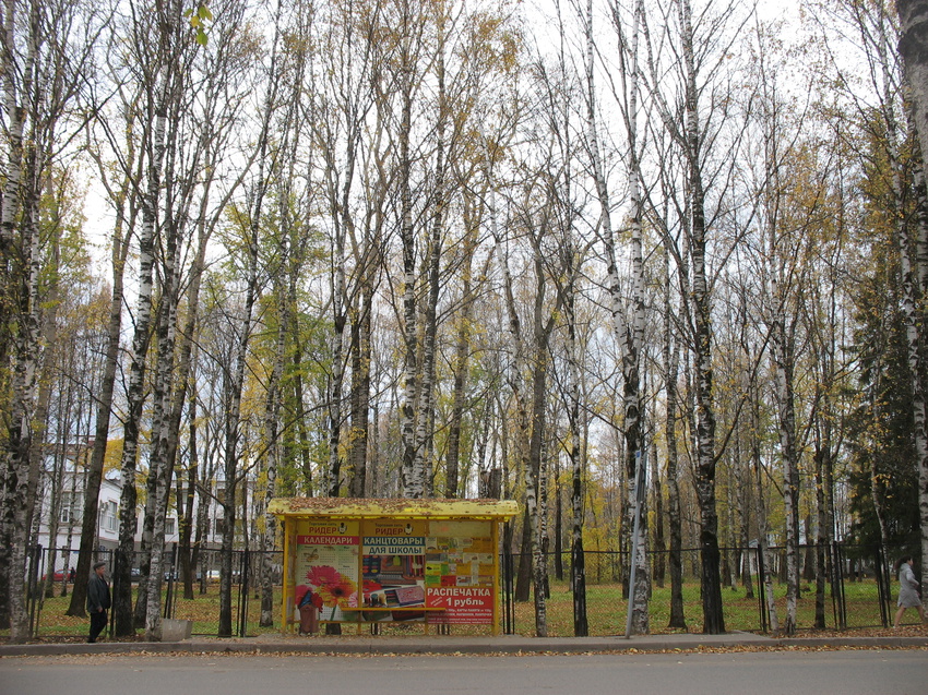 Сыктывкар 2015 - ул. Пушкина