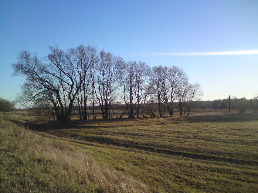 Кубань. Конец октября