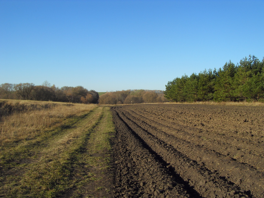 Ясная погода