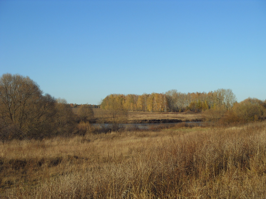Вид на Заводской пруд