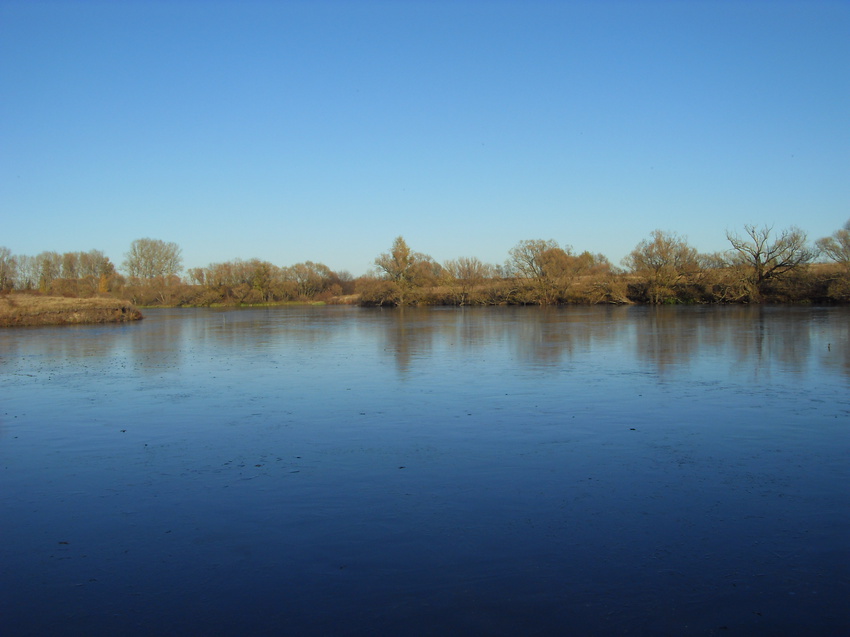 Тонкий октябрьский лёд на пруду