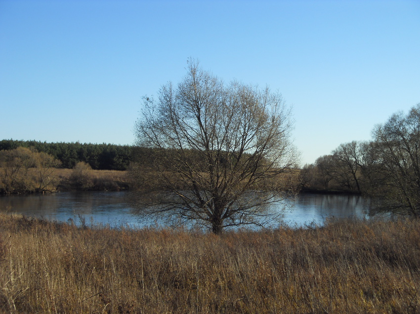 Кубань. Заводской пруд