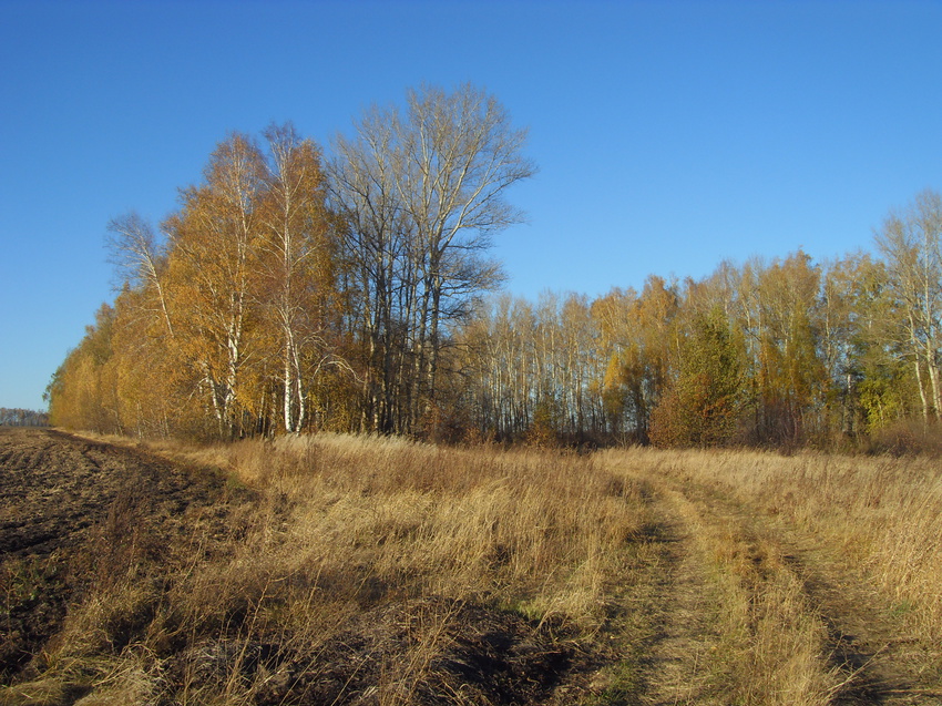 Кубань. Конец октября 2015