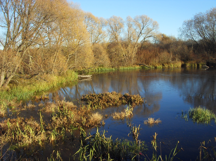 Пруд в октябре