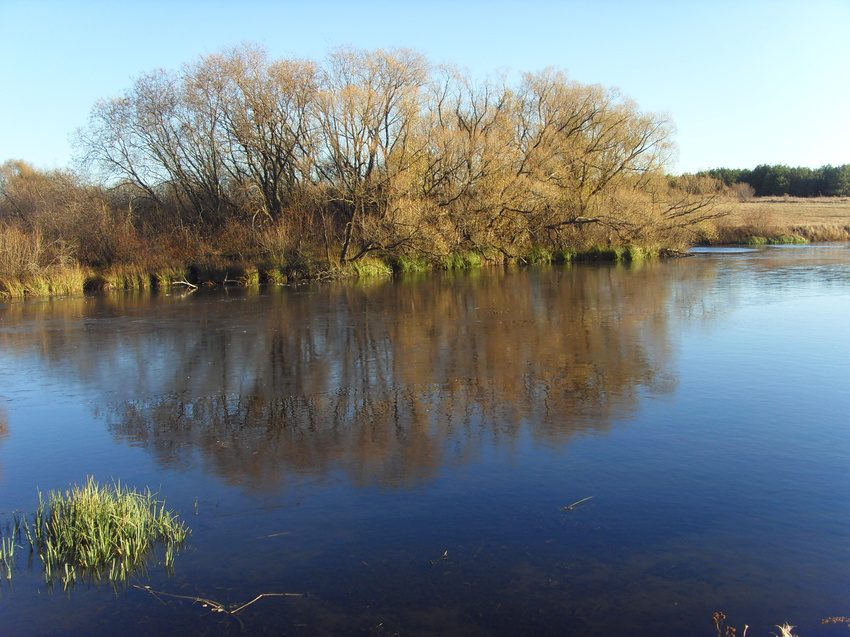 Ледовое отражение