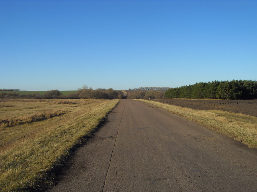 Основная дорога на Кубани