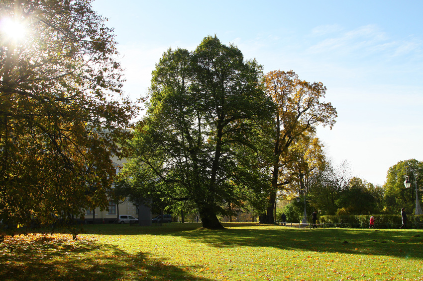 Павловский парк