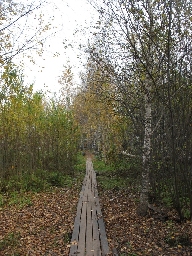 Сыктывкар 2015 - ул.Маркова