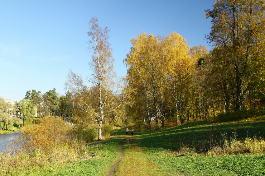 Берег Мариентальского пруда