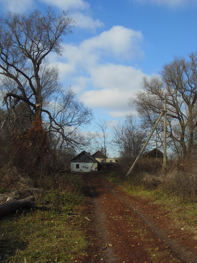 Дорога внутри села