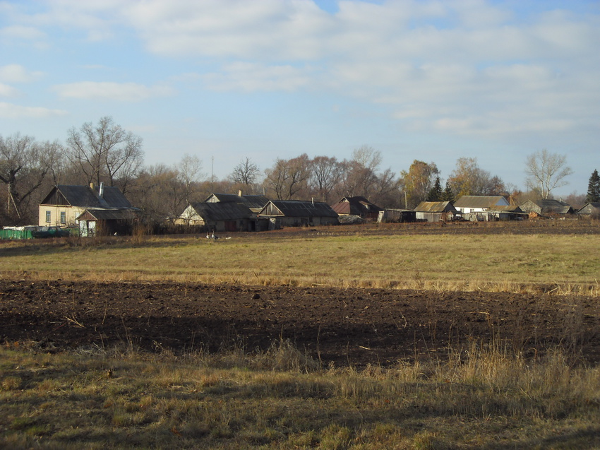 Центр Кубани