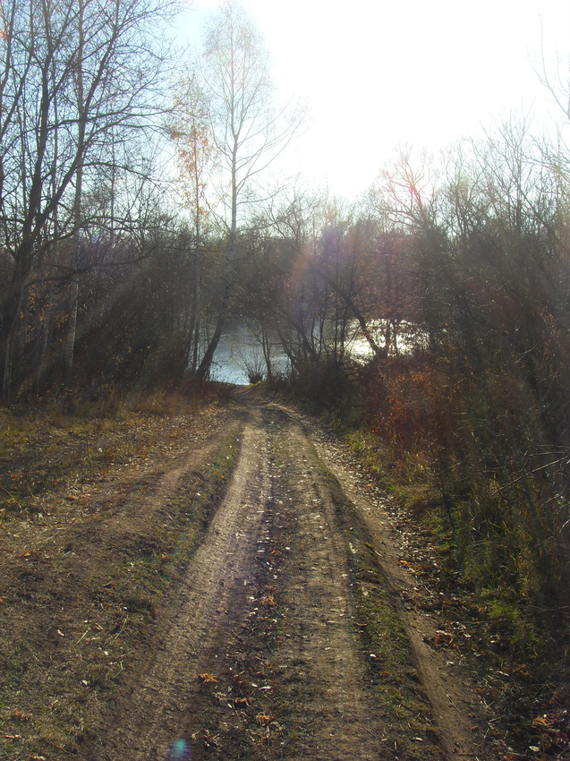 Спуск к пруду