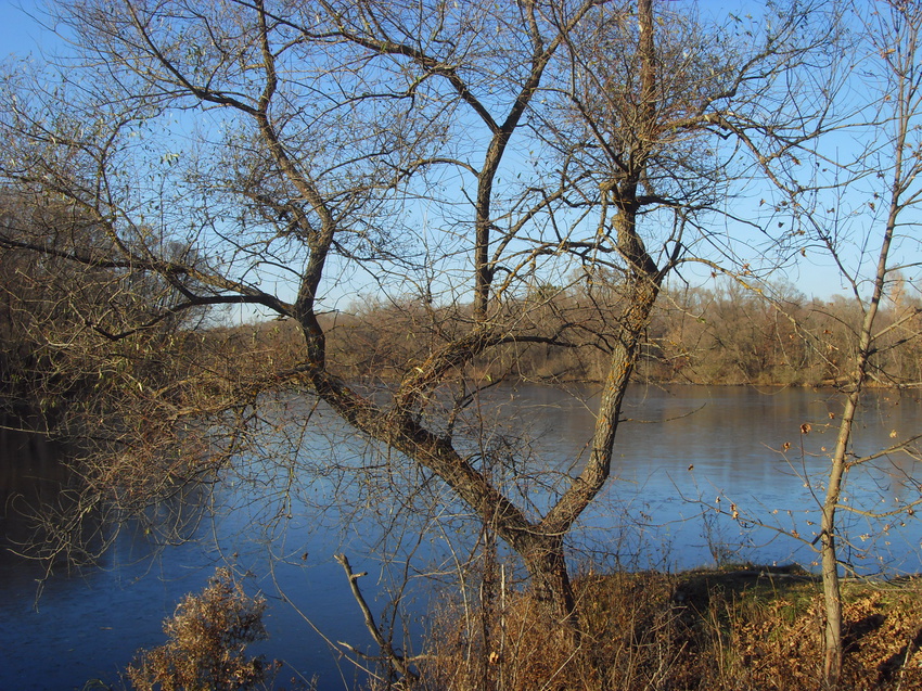 Вид с плотины