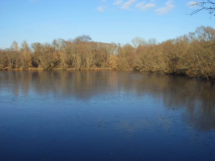 Широкая часть пруда