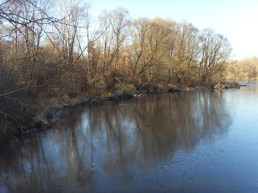 &quot; Голые &quot; берега