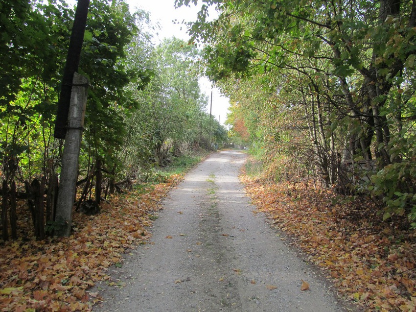 Вот иакая улица!