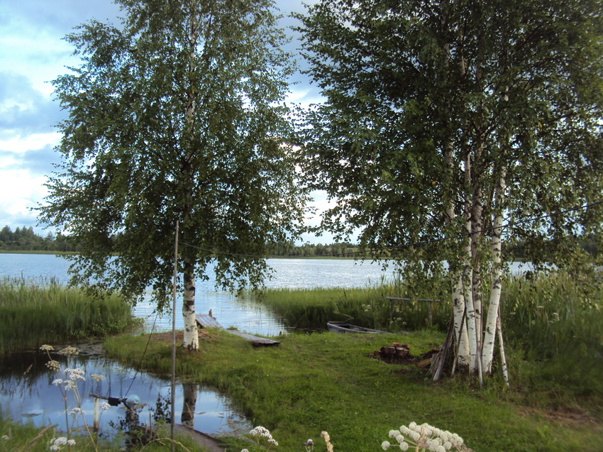 д.Давыдовская- Белое озеро