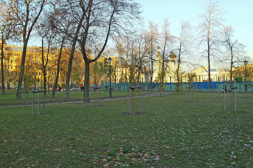 Сад Чернышевского